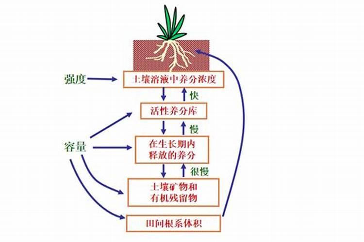 守护土壤的均衡之道：防治土壤养分非均衡化的策略