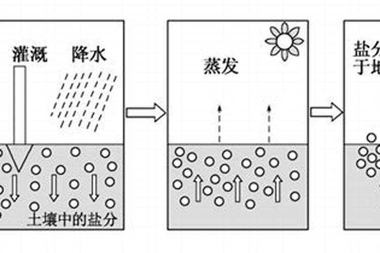 土壤盐碱化的原因