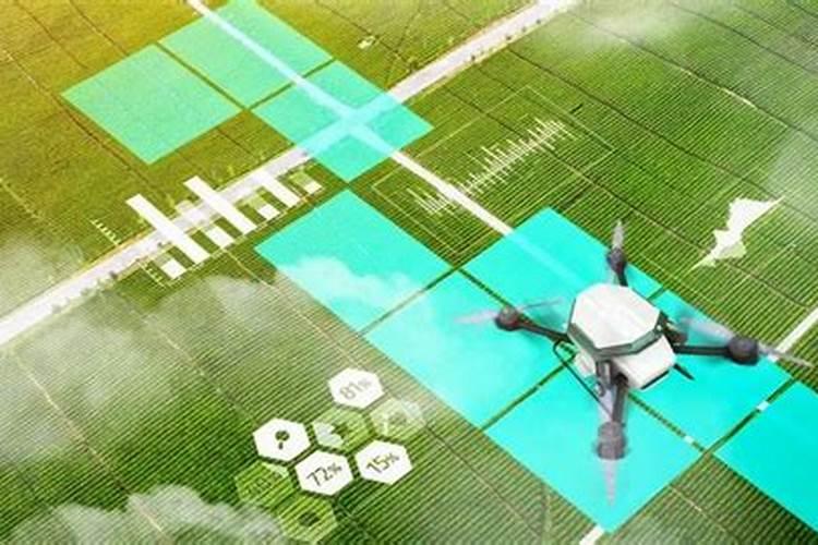 智慧农耕：科学选择适宜肥料的策略