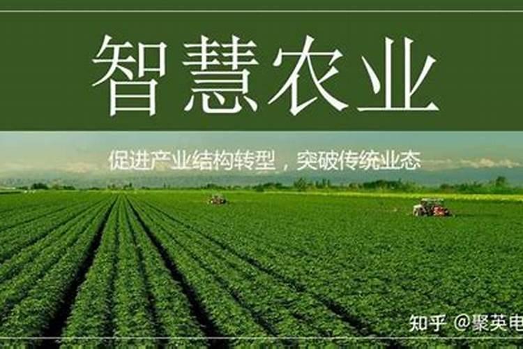 传统农业有什么缺点？