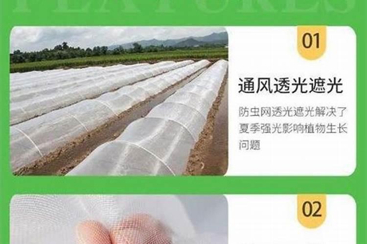 蔬菜防虫网能防虫吗？