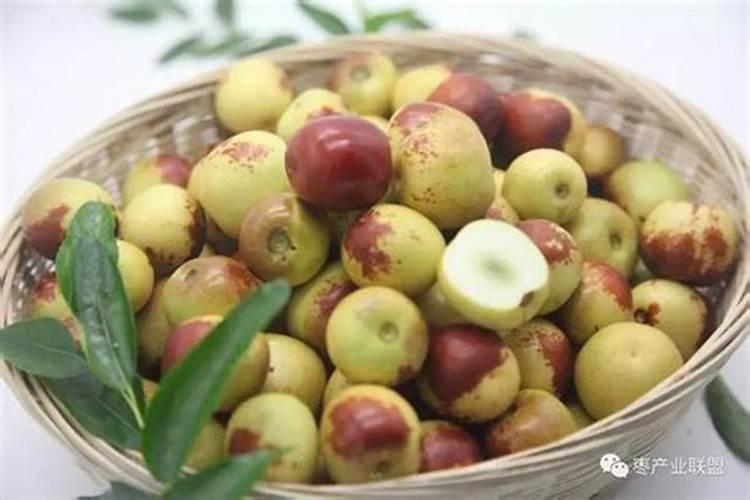 枣树夏季巧管理