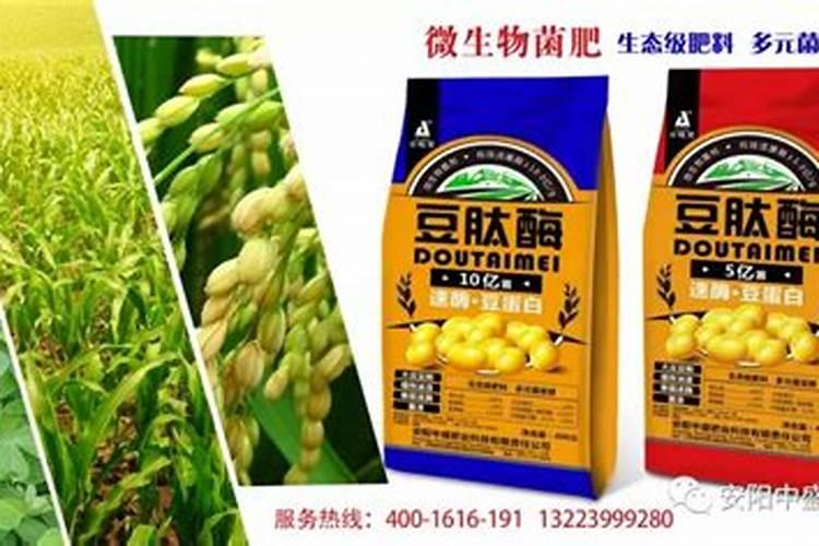 微生物菌肥的优势有哪些