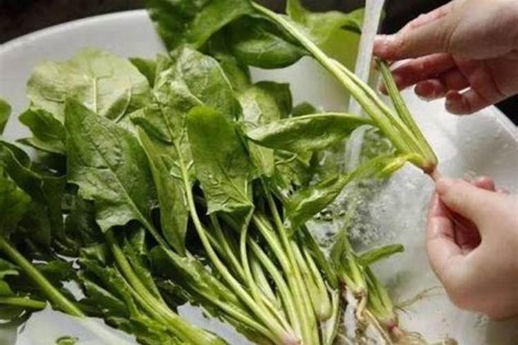 菠菜涩口原因？