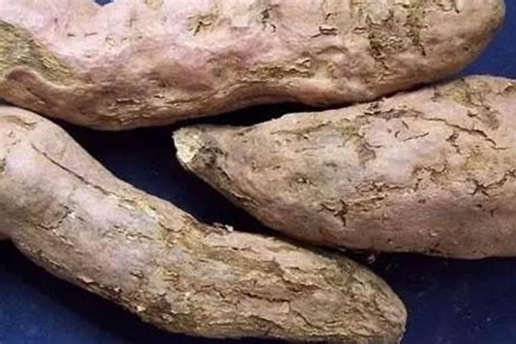 守护甘薯健康：防治甘薯疮痴病的有效策略