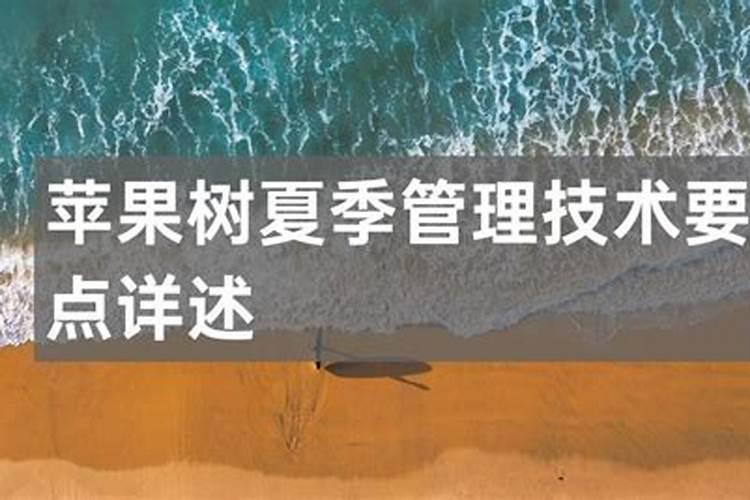 苹果树夏季管理要点
