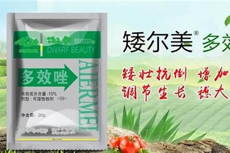 矮壮素有什么副作用？到底有多大的危害？
