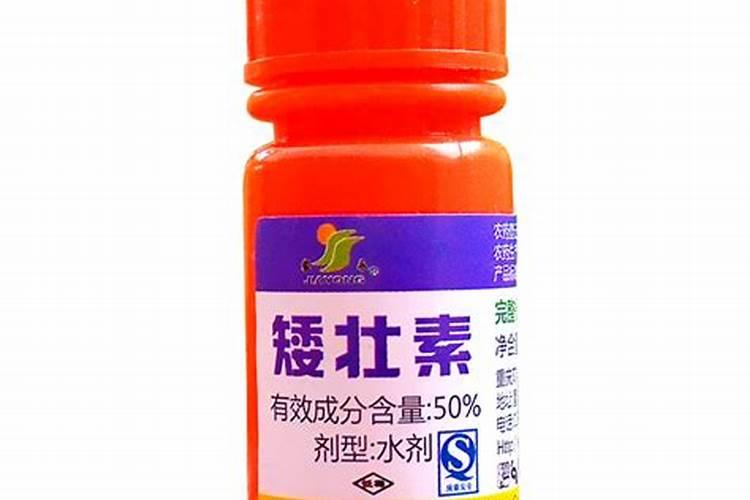 矮壮素4大禁忌