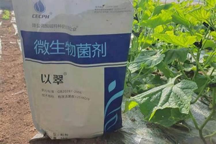 辽宁全水溶性肥料哪家合适种植？
