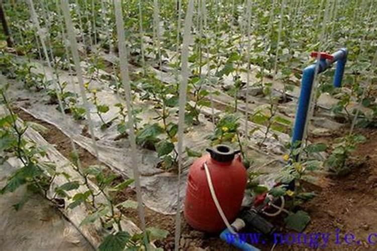 施肥的方法施肥的方法有哪些