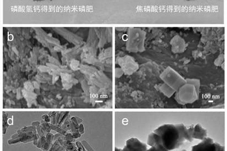 磷肥之选：高效鉴优的智慧之旅