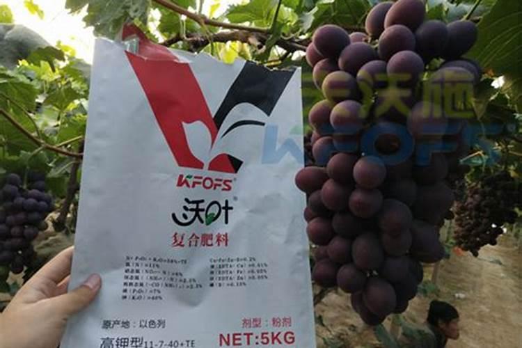 水溶肥和饼肥哪个好用一点呢？