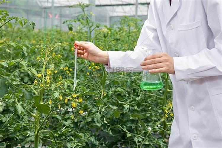 农用素的科学施用方法？