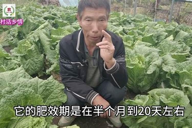 复合肥施用后多长时间能见效？