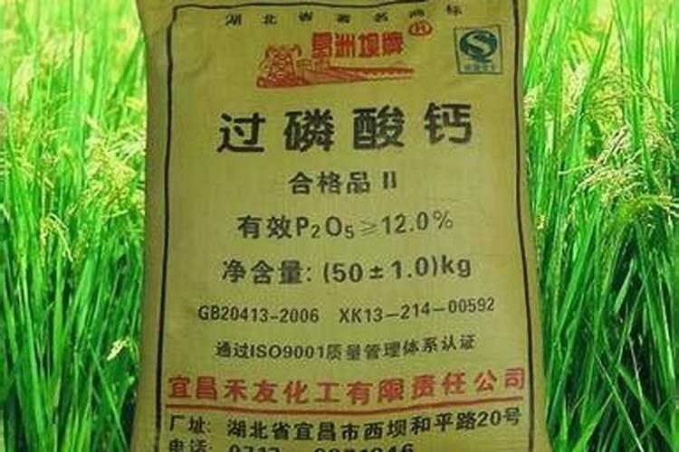 柠檬喜欢钙肥吗还是磷肥呢？