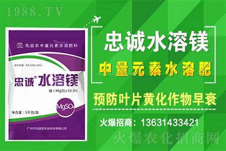 柳州水溶肥硫酸镁生产厂家有哪些？