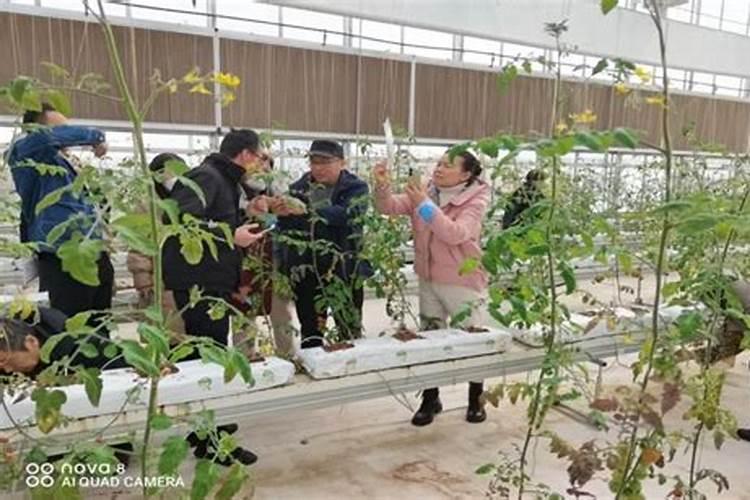 冬日守护：筑牢病虫害防治的坚固防线