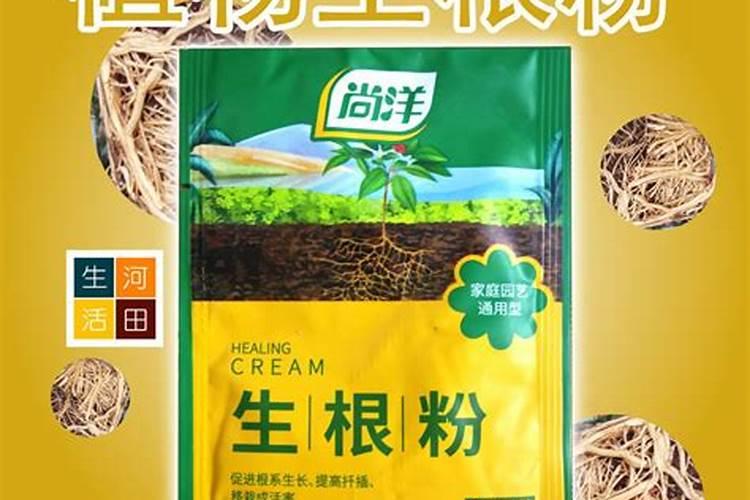 植物移植生根粉的用法