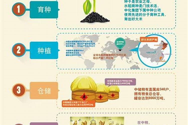 芝麻的贮藏秘诀：从田间到餐桌，一粒不弃