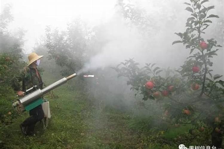 警惕！这些农药在花卉与果树上的禁用清单