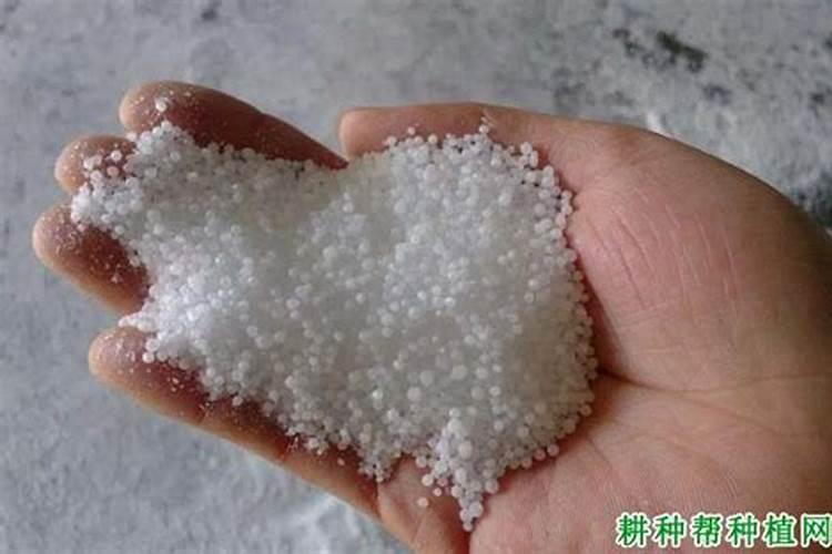 冬季施用碳铵肥为什么比施用尿素效果好