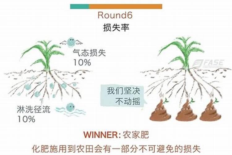 和谐土壤之歌：有机肥与化肥的完美合奏