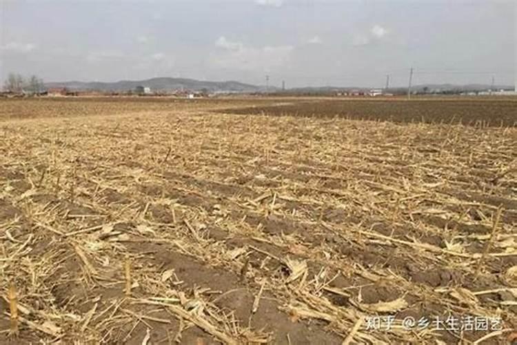 滁州地区秸秆还田应对措施有哪些？有哪些注意事项？