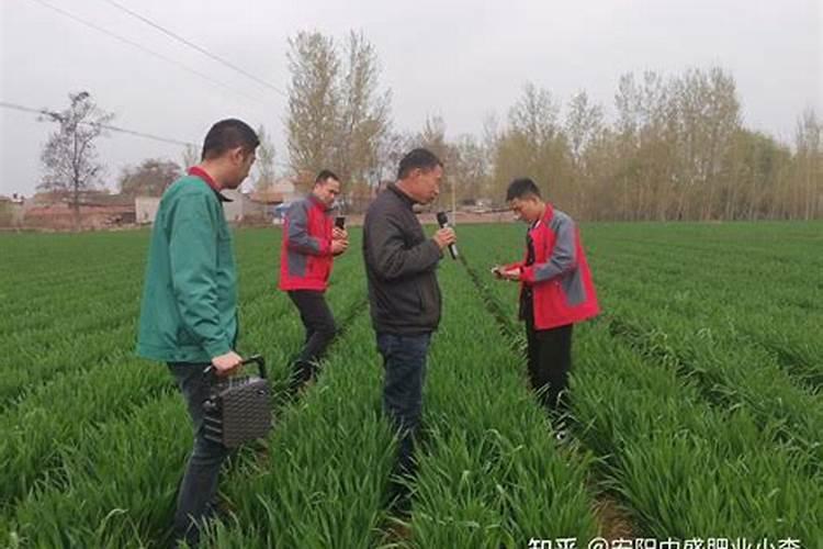 探究氮肥与复合肥：同中有异的农业之选