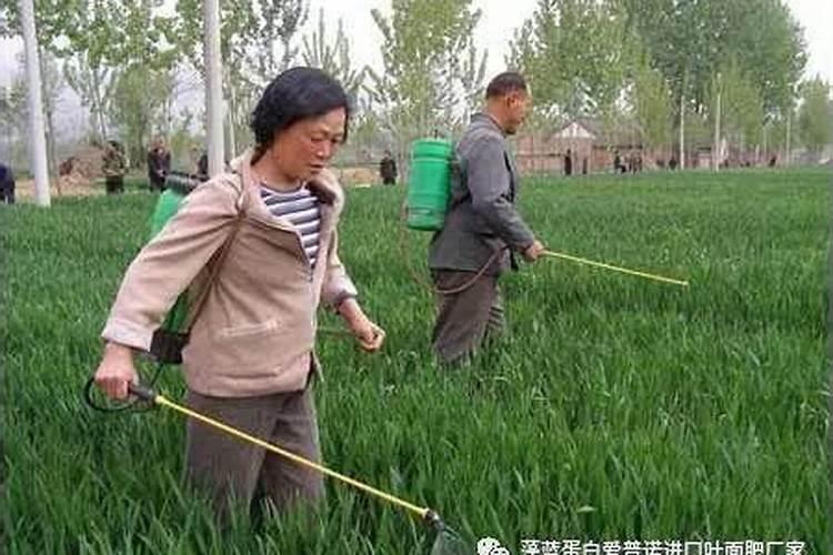 怎么减缓农药抗药性的发生