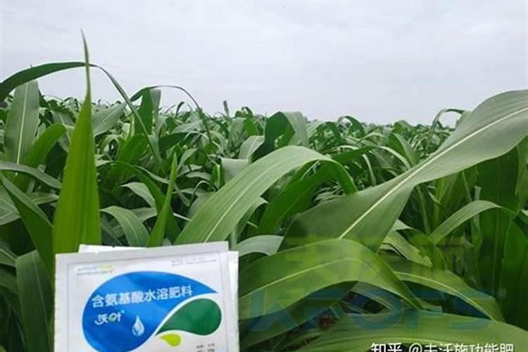 叶面肥三天喷一次可以吗,叶面肥是什么肥