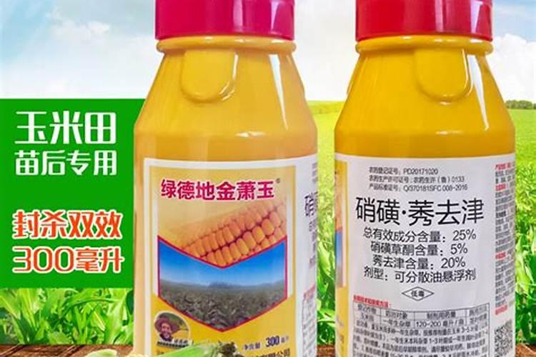 玉米地用什么除草剂好，玉米田除草剂常见混剂优缺点？