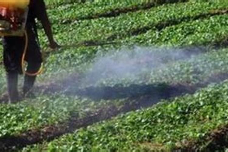 揭秘细菌生物农药：提升药效的关键策略
