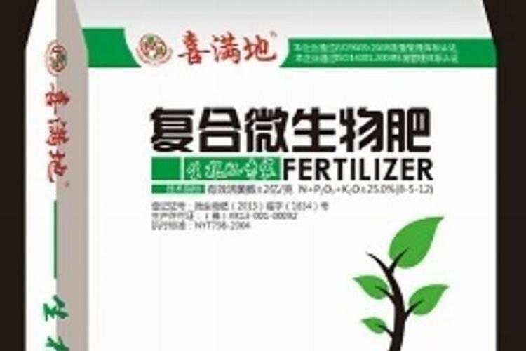 选购微生物肥料的智慧：关注要点与实用指南