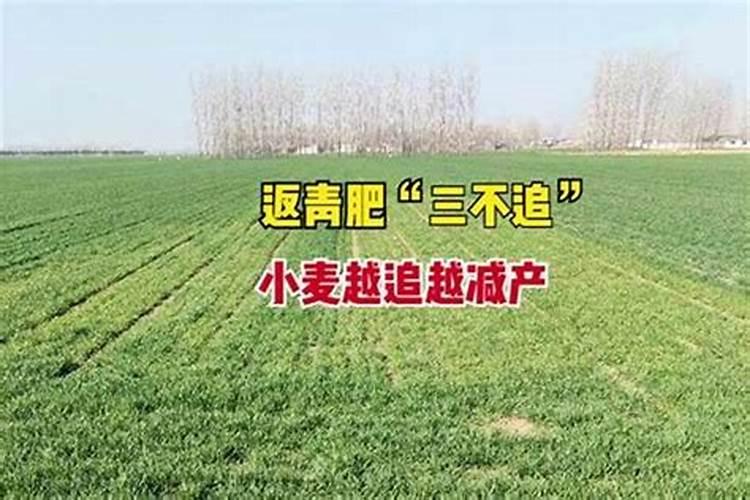 土壤盛宴：揭秘底肥施用的艺术