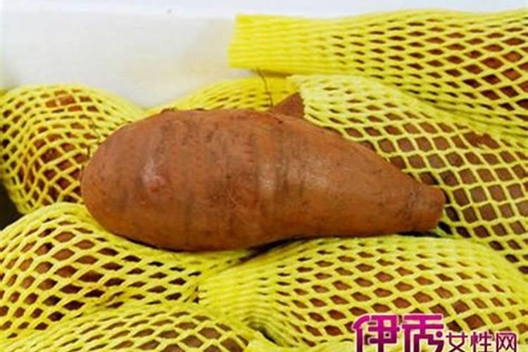 雪域珍宝：揭秘雪莲果的种植奥秘