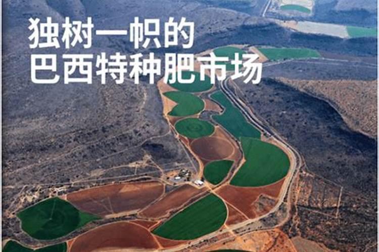 特种肥前景,特种肥的经营之道