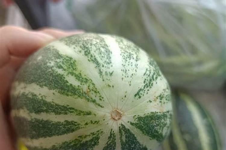 博洋甜瓜酒心什么原因？