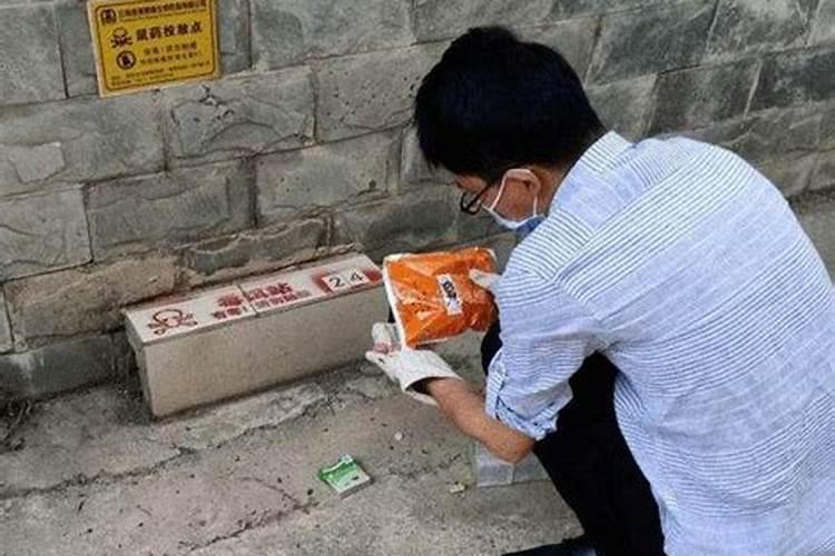 农村灭鼠的常用方法有哪些？