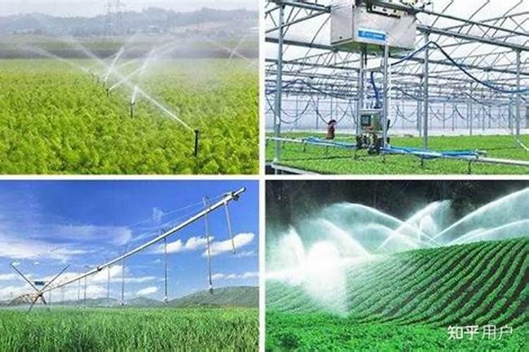 农业节水灌溉的六种灌溉方法是哪些