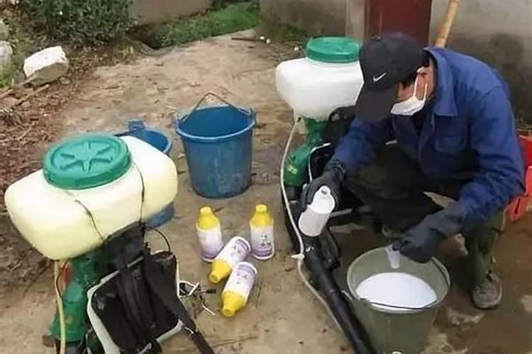 预防苗木药害,打农药应该“二次稀释”
