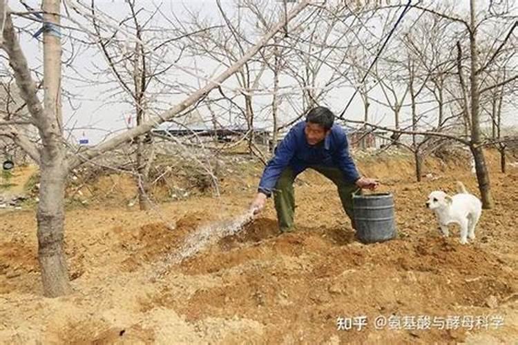 小雨可以撒施冲施肥吗？