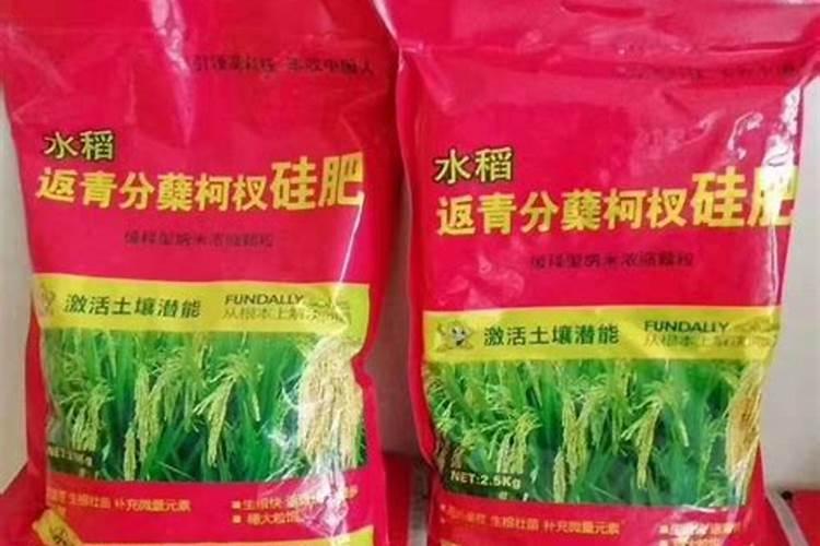 液体硅肥和螯合硅哪个好