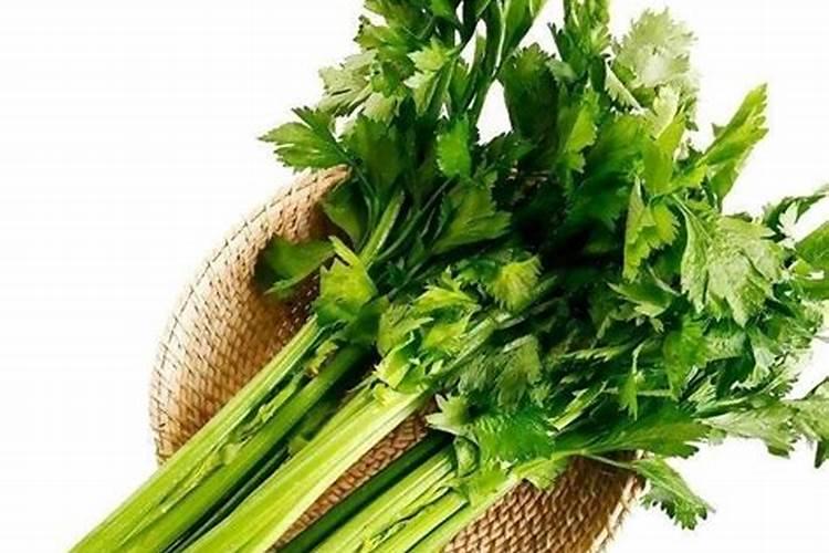 芹菜是粗纤维吗，真的有助于减肥吗？