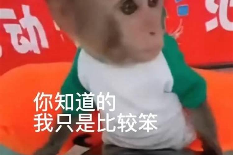 我这个人比较笨,在生活中好多常识都不知道,希望大家给我传一些生活小。