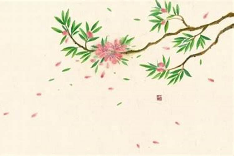 李清照词中的绿肥红瘦描写的是什么季节的景色