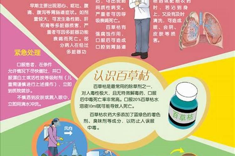 球虫药中毒的识别与救治：全面解析与实践指南