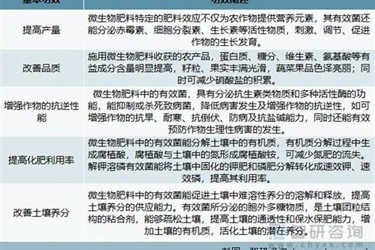 揭秘微生物肥的神奇功效：绿色农业的未来之选