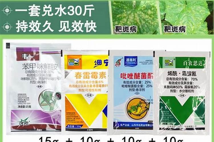 战胜靶斑病：有效防治策略与药物选择