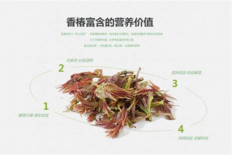 即时香椿的加工技术