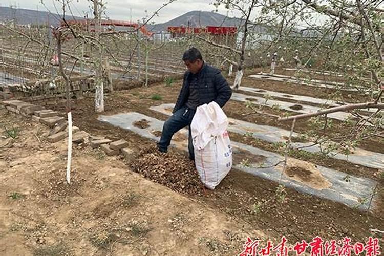 小春作物怎么来防霜冻害？